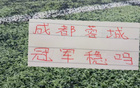 半程下来！北京国安距离领头羊22分 申花是24分 卫冕冠军是25 分
