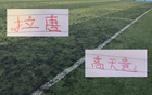 15轮下来！申花球员数据“第一”