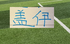 中超豪门重新集结 申花官方照有盖伊 感觉他一直都在练