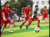 奥萨苏纳VS巴塞罗那直播_奥萨苏纳VS巴塞罗那免费在线高清直播_奥萨苏纳VS巴塞罗那视频在线观看无插件