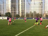 巴黎VS洛里昂直播_巴黎VS洛里昂免费在线高清直播_巴黎VS洛里昂视频在线观看无插件